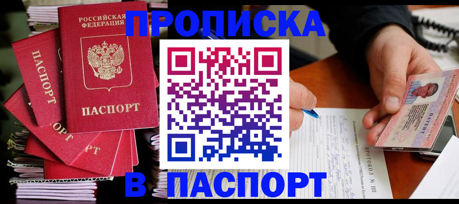 временная регистрация гарантия в Опочке